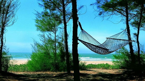 Experience the Charm of Maharashtra This Winter: A Perfect Travel Itinerary